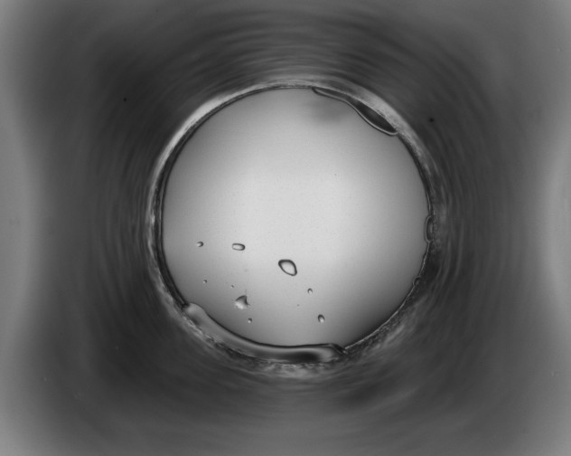 X0000086250955200704191840