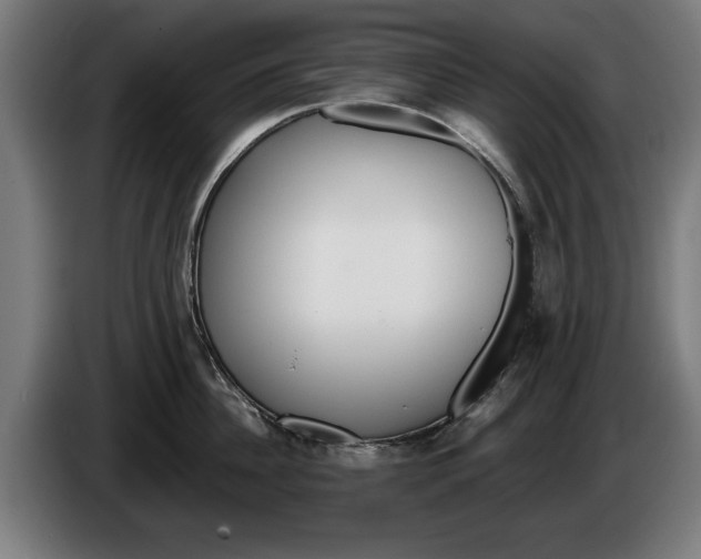 X0000086250956200704191840