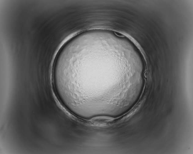 X0000086250957200704191840