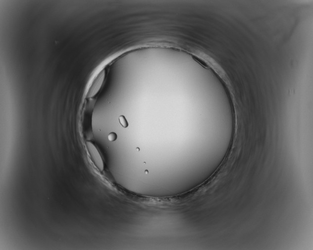 X0000086250960200704191840