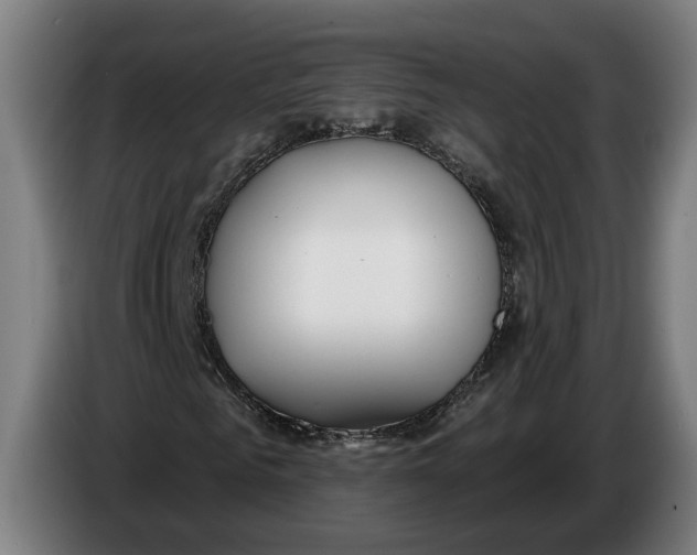 X0000086250961200704191839