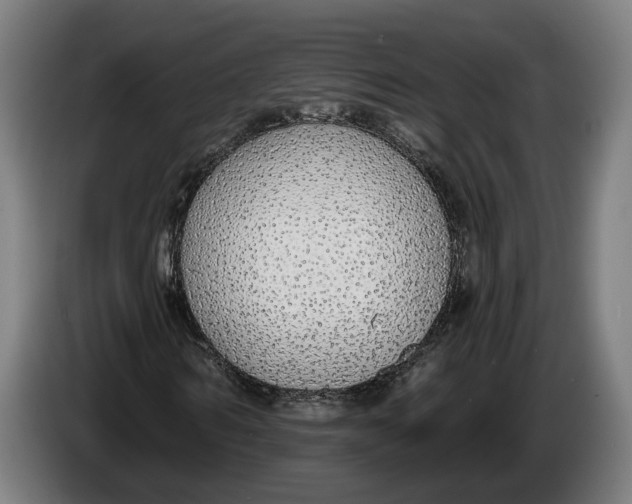 X0000086250962200704191839
