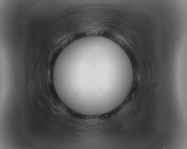 X0000086250964200704191839