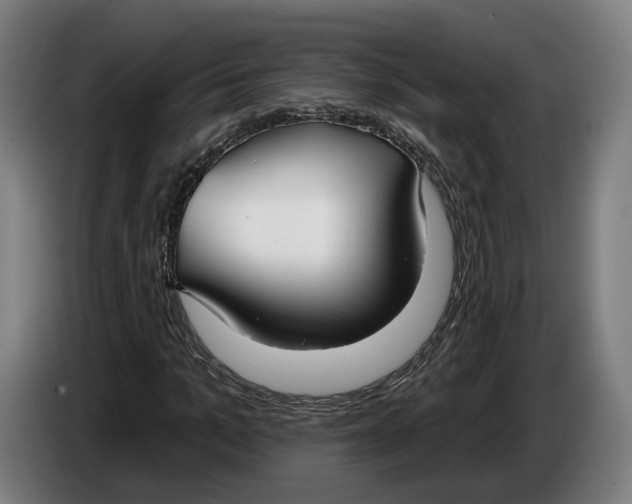 X0000086250965200704191839