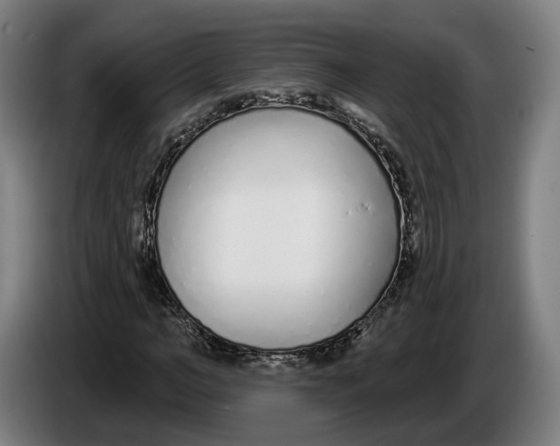 X0000086250966200704191839