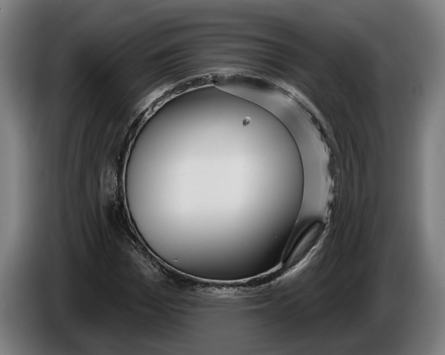 X0000086250969200704191839