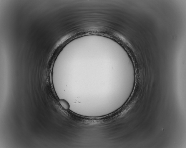 X0000086250970200704191839