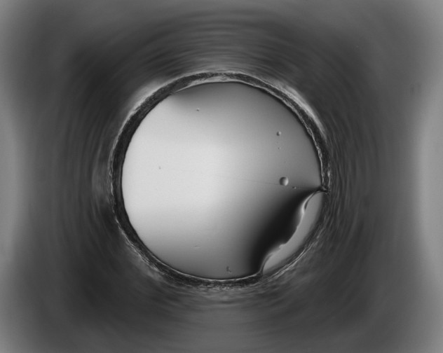 X0000086250972200704191839