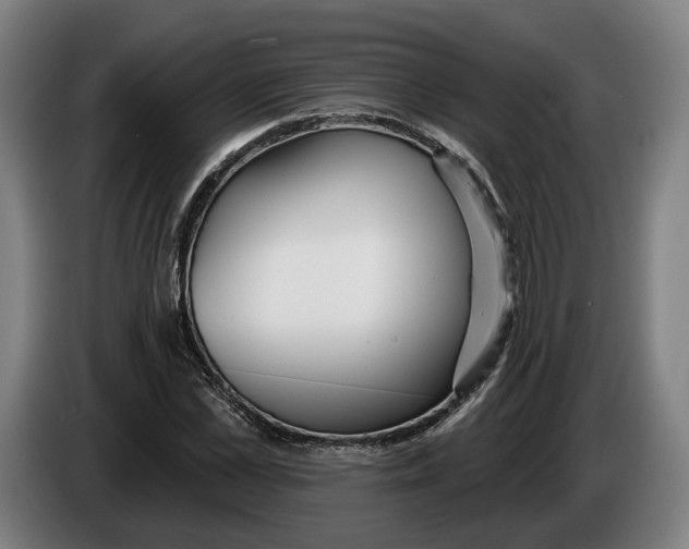 X0000086250973200704191839