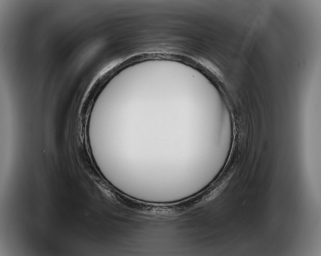 X0000086250974200704191839