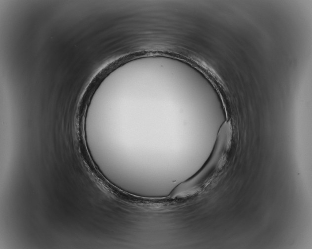 X0000086250976200704191839