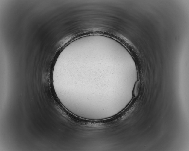 X0000086250977200704191839