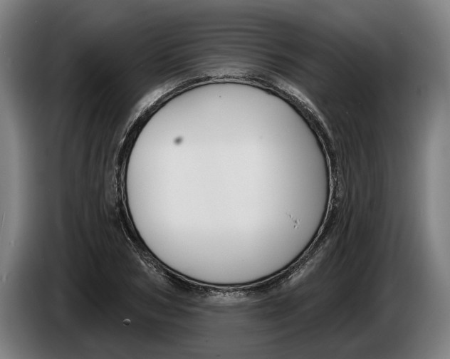 X0000086250978200704191839