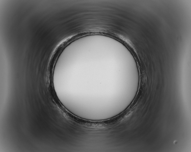 X0000086250979200704191839