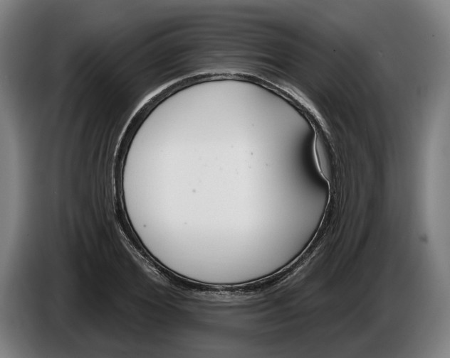 X0000086250980200704191839