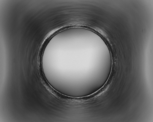 X0000086250981200704191839