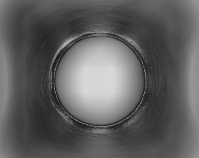 X0000086250982200704191839