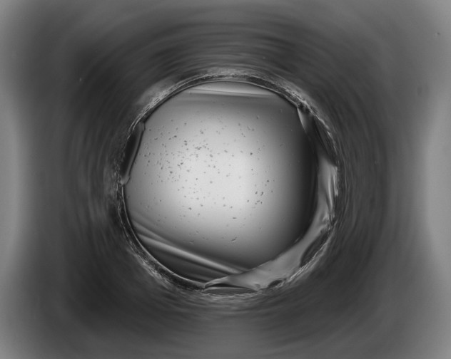 X0000086250985200704191839