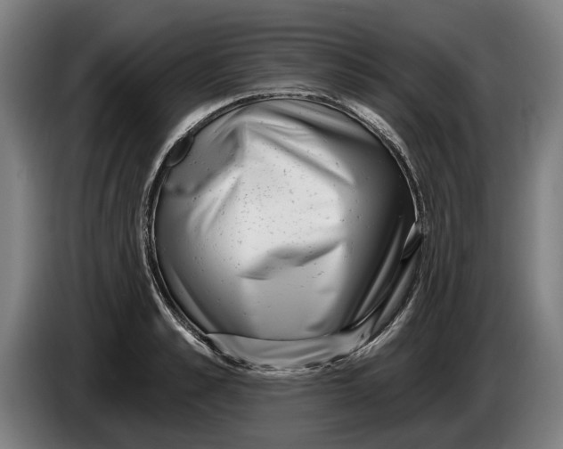 X0000086250989200704191839