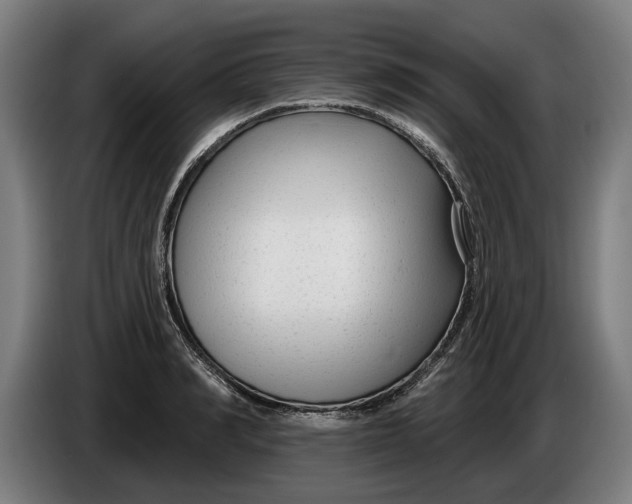X0000086250990200704191839