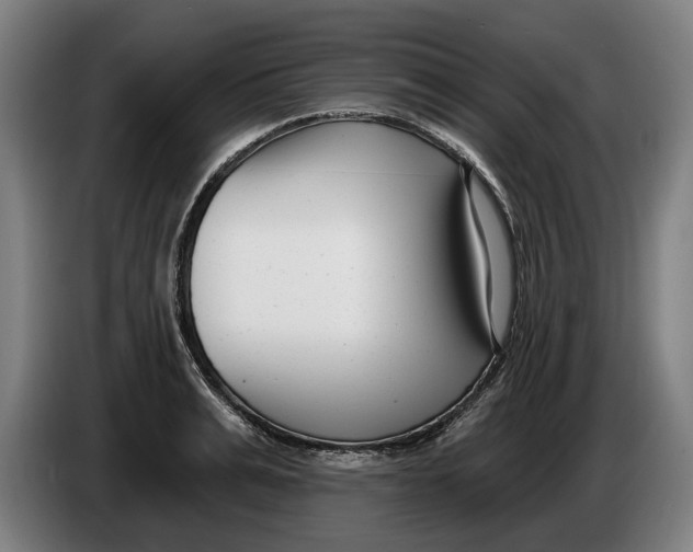 X0000086250991200704191839