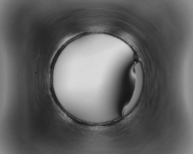 X0000086250992200704191839