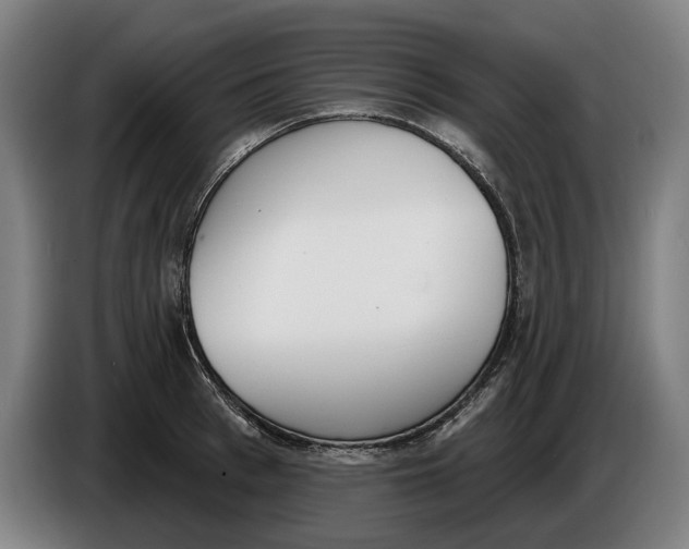 X0000086250993200704191839