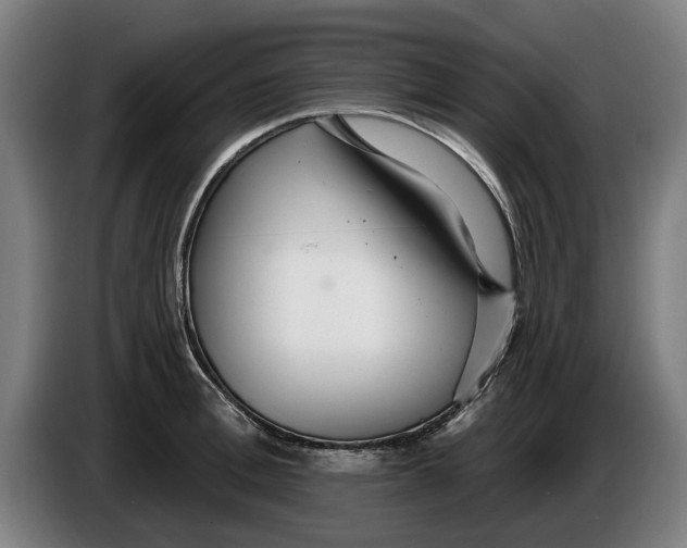 X0000086250996200704191839