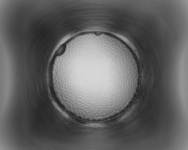 X0000086250998200704191838