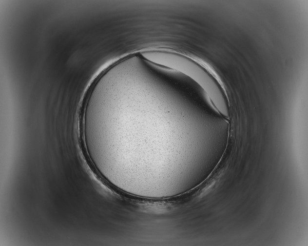 X0000086250999200704191838