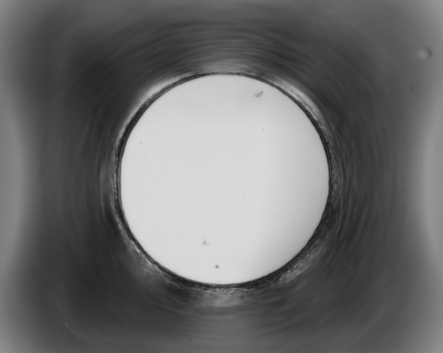 X0000086251000200704191838