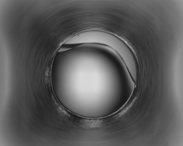 X0000086251001200704191838