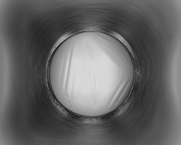 X0000086251002200704191838