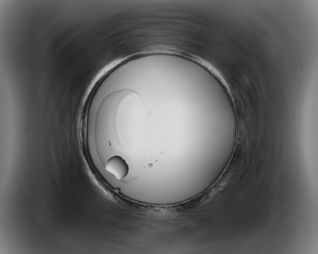 X0000086251003200704191838