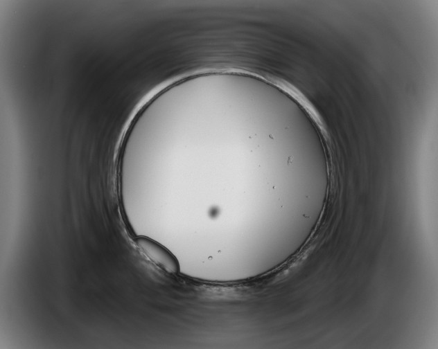 X0000086251004200704191838