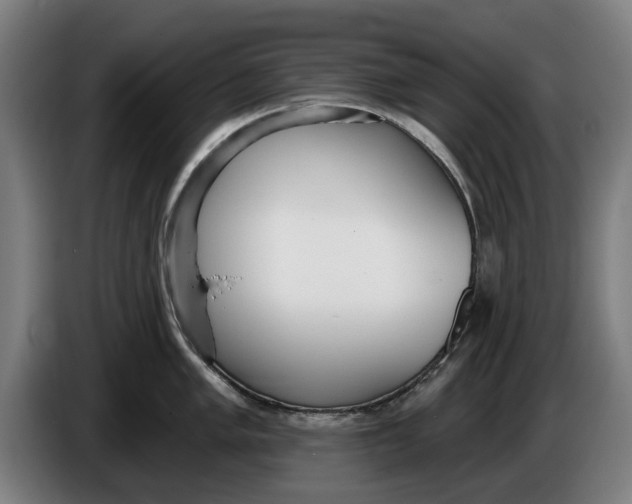 X0000086251005200704191838