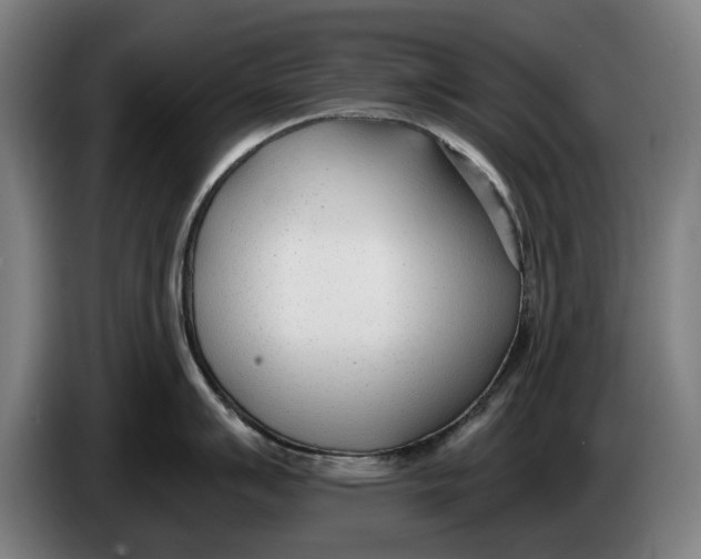 X0000086251007200704191838