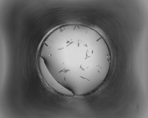 X0000086251008200704191838