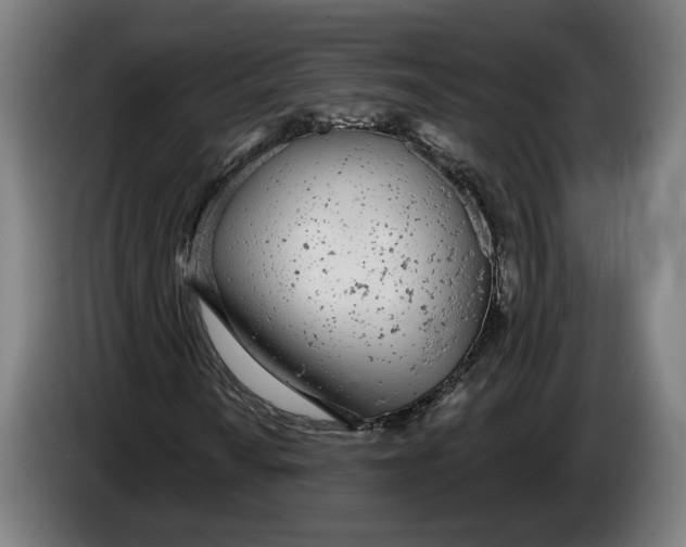 X0000086251010200704191838