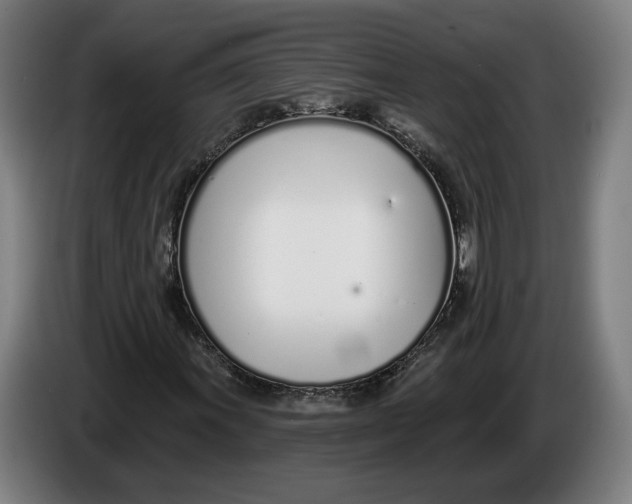 X0000086251011200704191838