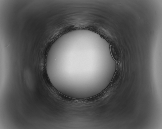 X0000086251012200704191838