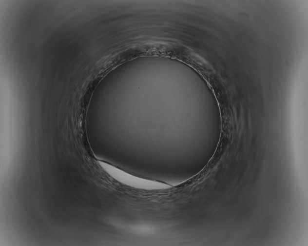 X0000086251013200704191838