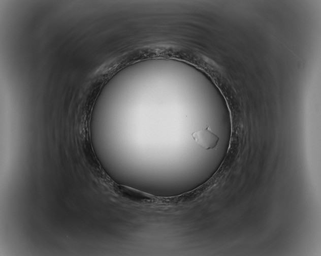 X0000086251014200704191838