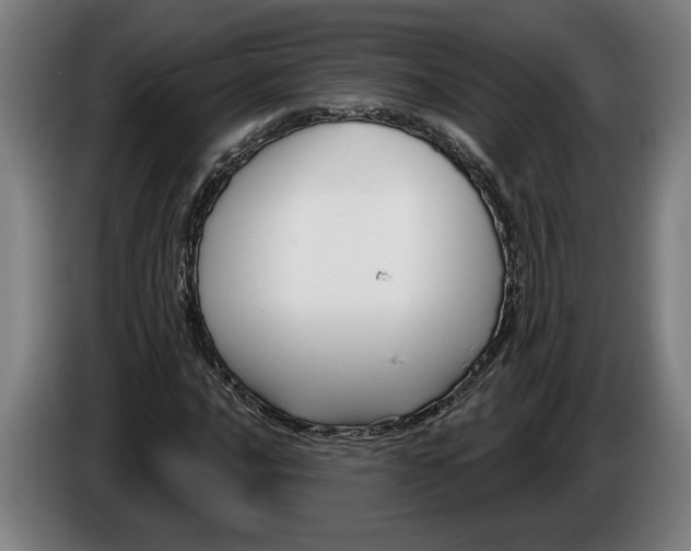 X0000086251016200704191838