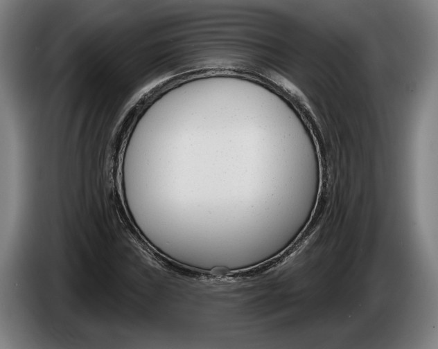 X0000086251019200704191838