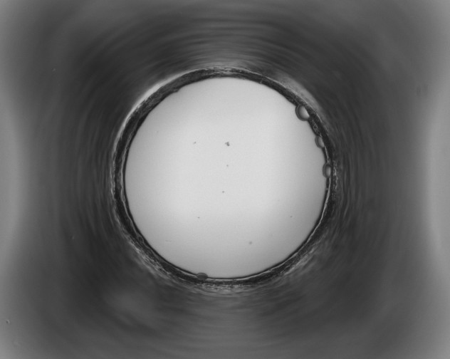X0000086251020200704191838