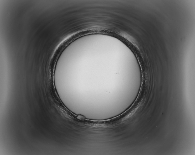 X0000086251021200704191838