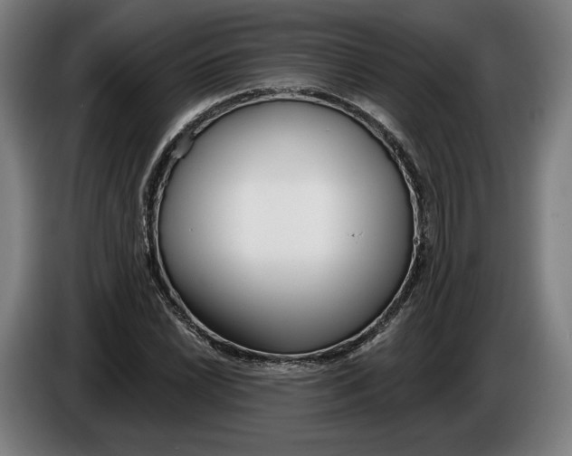 X0000086251022200704191838
