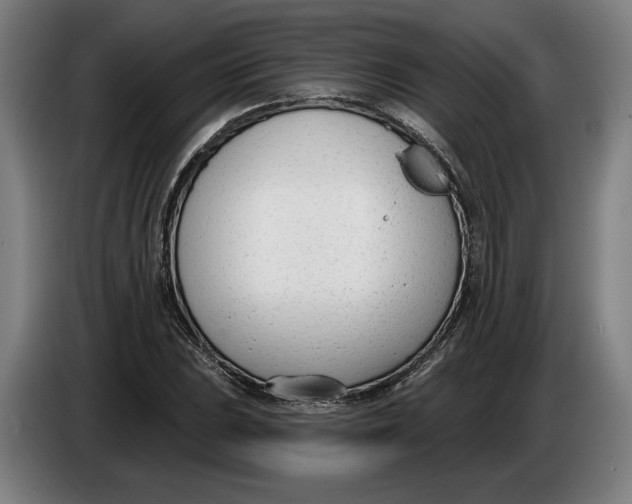 X0000086251023200704191838