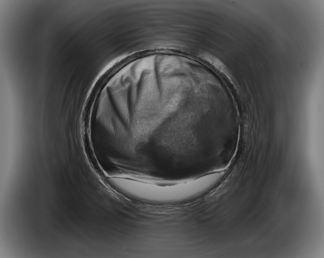 X0000086251024200704191838